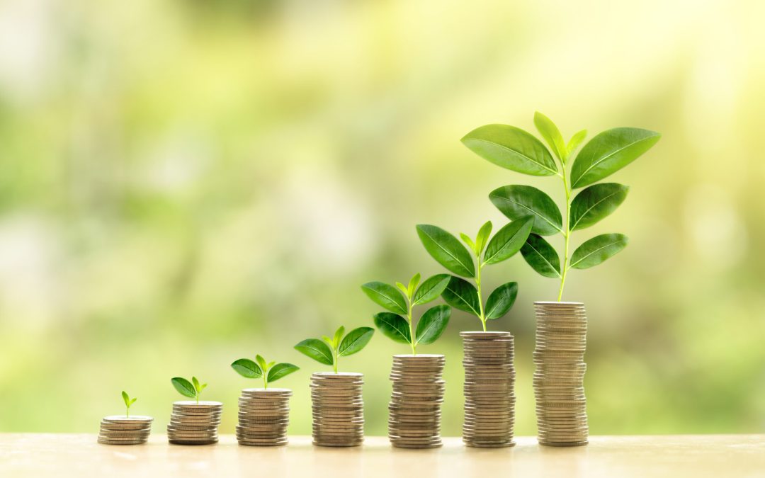 20 Second Advisor: How to hedge inflation?