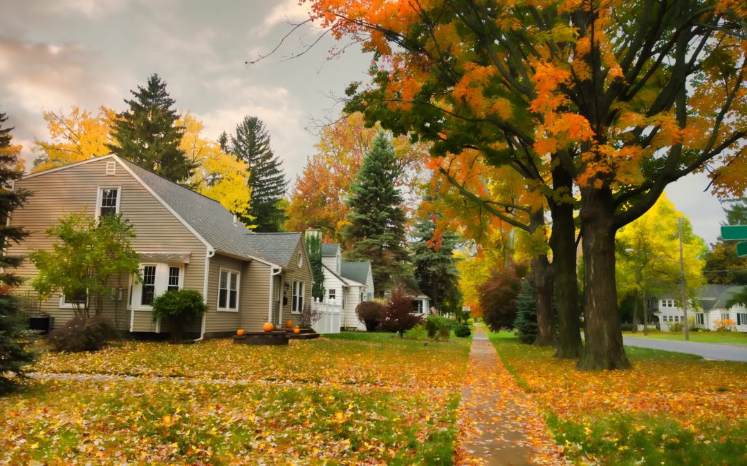 20 Second Advisor: To borrow or not to borrow? Part 2 – Freedom from debt feels good.