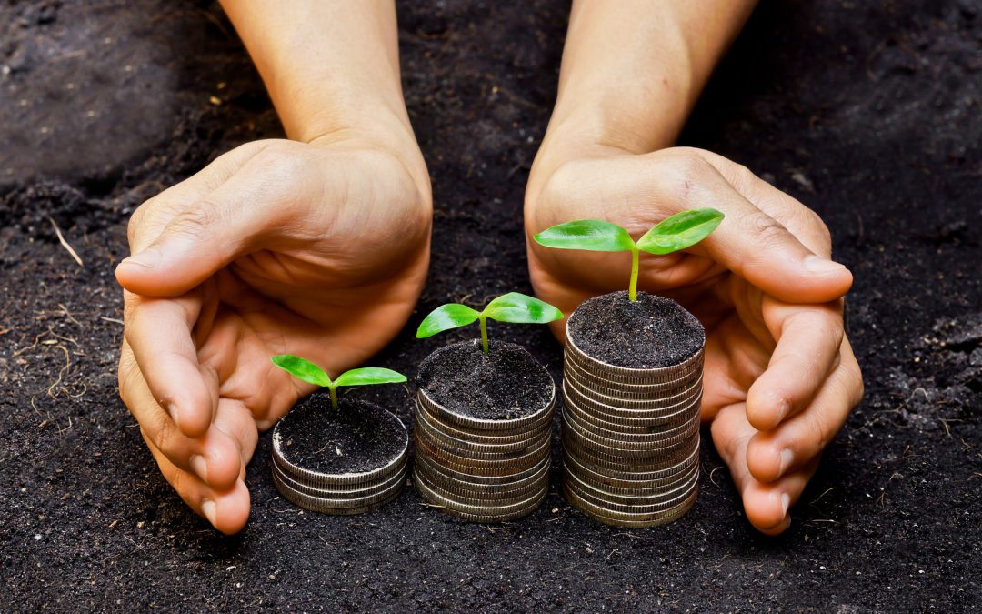 20 Second Advisor: Investor vs Speculator?