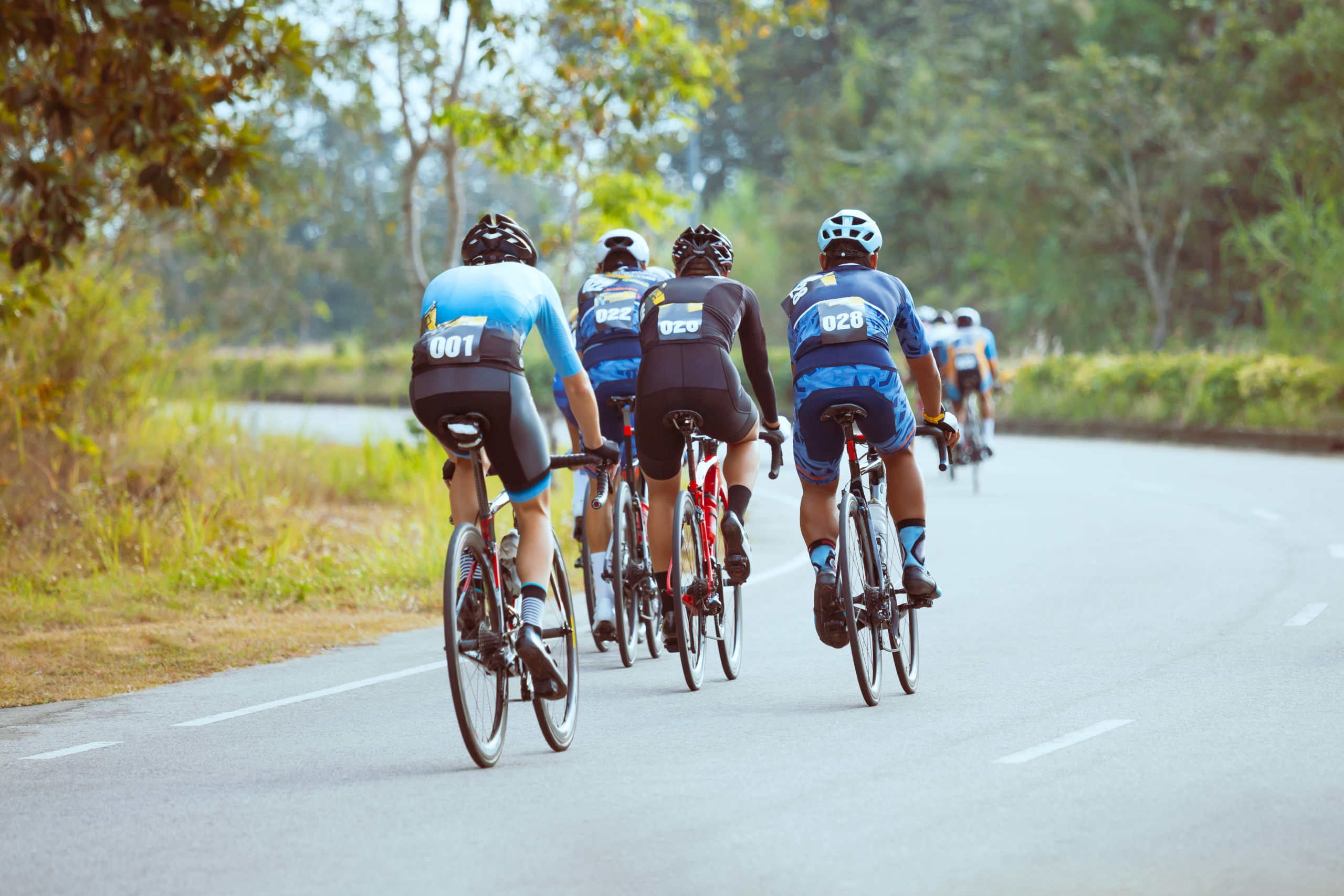 cycling and investments
