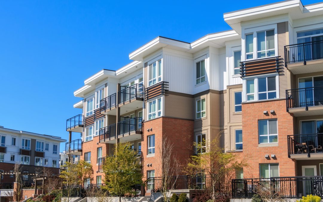 20 Second Advisor: “I’m OK with cockroaches, but not with roommates”