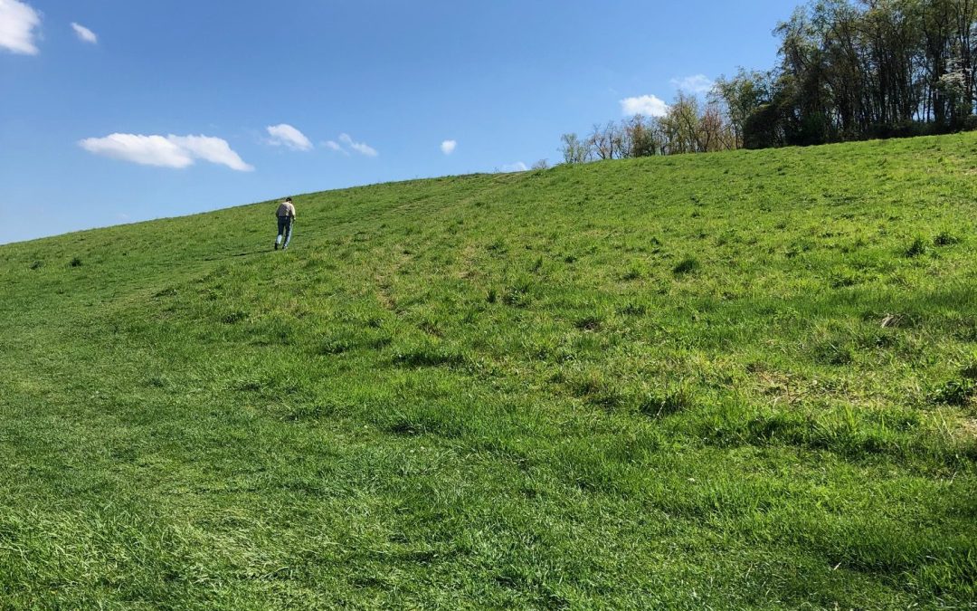 20 Second Advisor: I guess I’ll take the stairs….