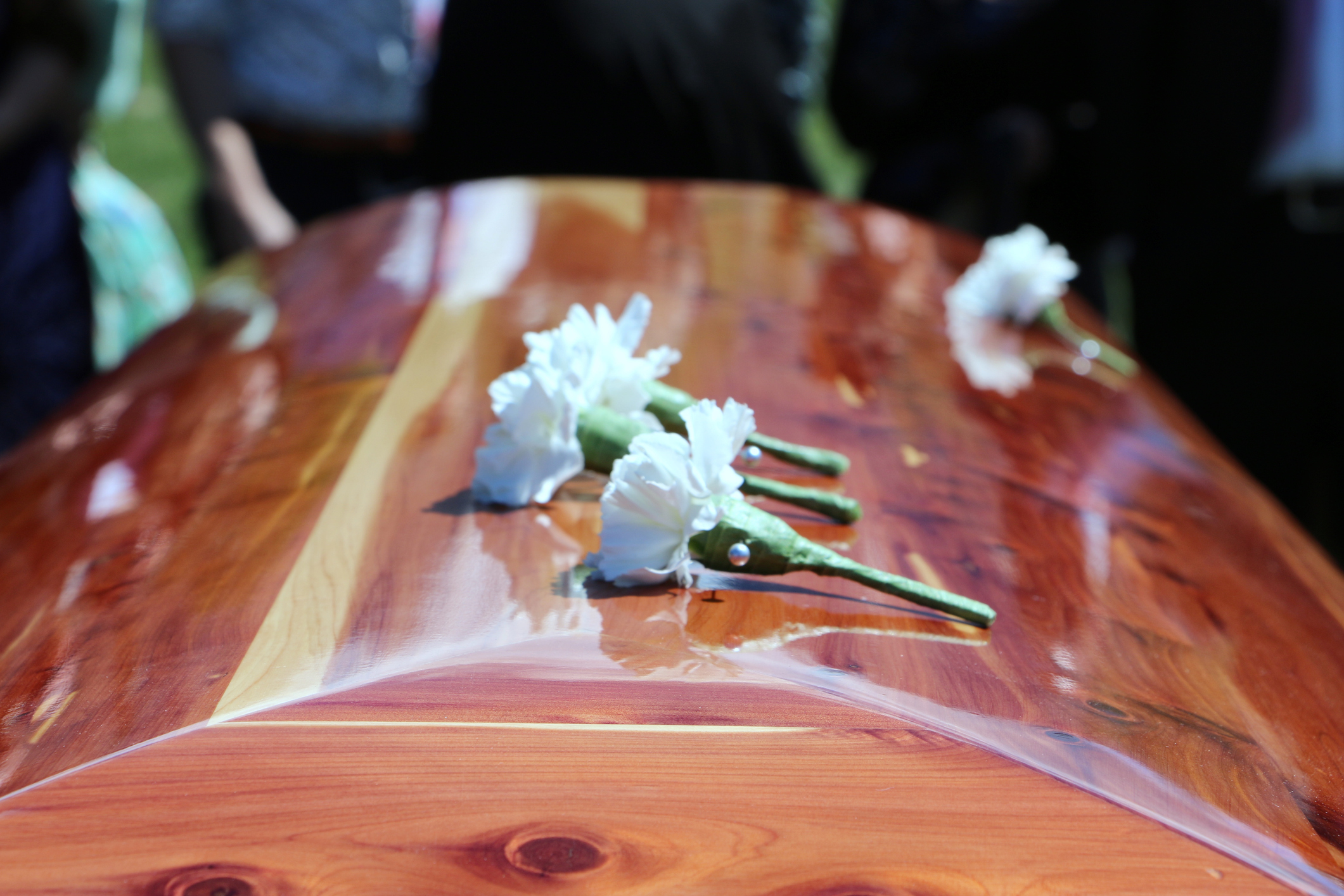Pallbearers White Carnation Boutonnières Laid Atop Cedar Casket – Stock Image